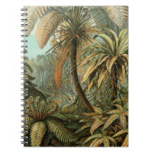 Varens Palmboom Antiek Botanische Varens Kunst Notitieboek (Voorkant)