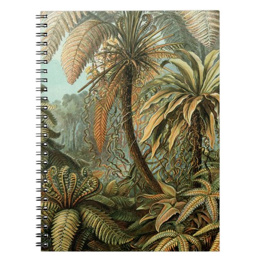 Varens Palmboom Antiek Botanische Varens Kunst Notitieboek (Voorkant)