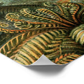 Varens Palmboom Antiek Botanische Varens Kunst Poster (Hoek)