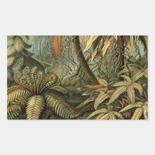 Varens Palmboom Antiek Botanische Varens Kunst Rechthoekige Sticker