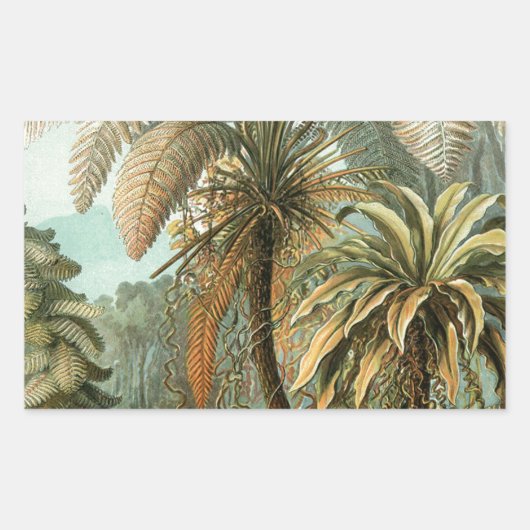 Varens Palmboom Antiek Botanische Varens Kunst Rechthoekige Sticker (Voorkant)