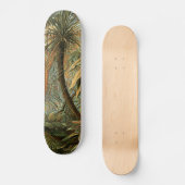 Varens Palmboom Antiek Botanische Varens Kunst Skateboard (Voorkant)