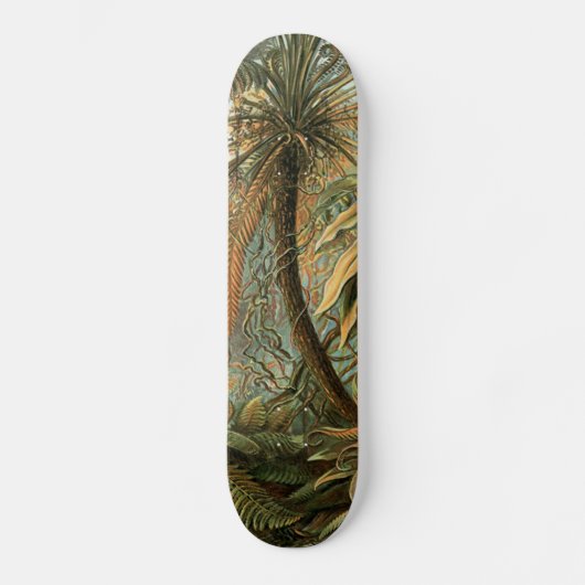 Varens Palmboom Antiek Botanische Varens Kunst Skateboard (Voorkant)