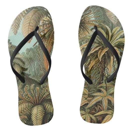 Varens Palmboom Antiek Botanische Varens Kunst Teenslippers (Voetbed)