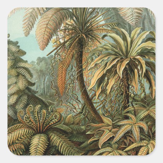 Varens Palmboom Antiek Botanische Varens Kunst Vierkante Sticker (Voorkant)