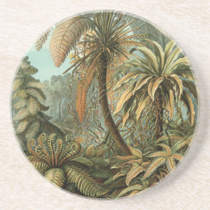 Varens Palmboom Antiek Botanische Varens Kunst Zandsteen Onderzetter