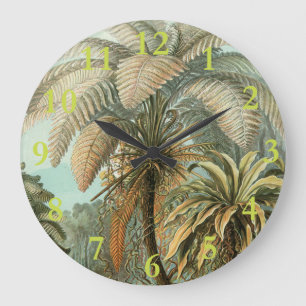 Varens Palmboom Antieke Botanische Varens Kunst Grote Klok