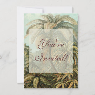 Varens Palmboom Antieke Botanische Varens Kunst Kaart