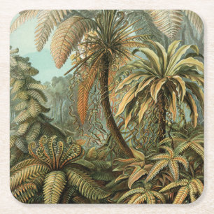 Varens Palmboom Antieke Botanische Varens Kunst Kartonnen Onderzetters