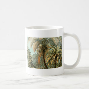 Varens Palmboom Antieke Botanische Varens Kunst Koffiemok