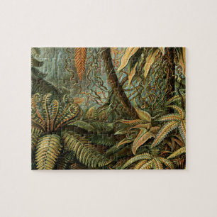 Varens Palmboom Antieke Botanische Varens Kunst Legpuzzel