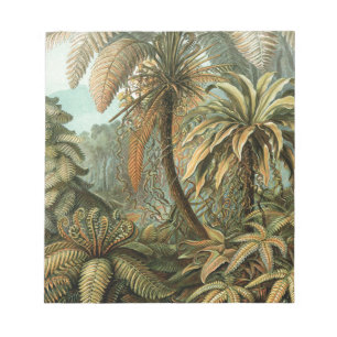 Varens Palmboom Antieke Botanische Varens Kunst Notitieblok