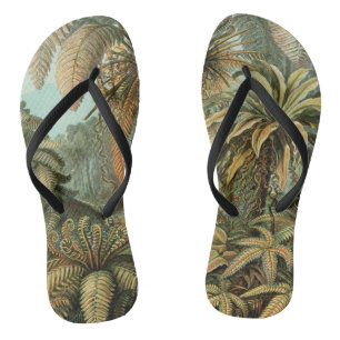 Varens Palmboom Antieke Botanische Varens Kunst Teenslippers