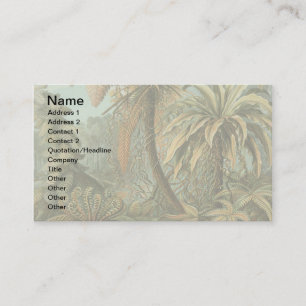 Varens Palmboom Antieke Botanische Varens Kunst Visitekaartje