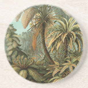 Varens Palmboom Antieke Botanische Varens Kunst Zandsteen Onderzetter