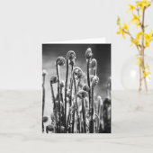 Varens Unfurlling Kaart (Gele Bloem)