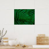 Varens van het eiland Pico Poster (Keuken)