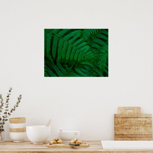 Varens van het eiland Pico Poster (Keuken)