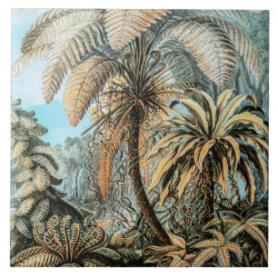 Varens Vintage Planten door Ernst Haeckel Tegeltje