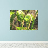Varens worden net wakker canvas afdruk (Insitu (Houten vloer))