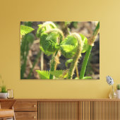 Varens worden net wakker canvas afdruk (Insitu (Woonkamer))