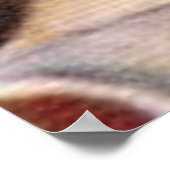 Vargas 1B poster (Hoek)