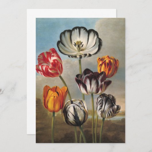 variabele Tulip Flowers in een landschap (Voorkant / Achterkant)