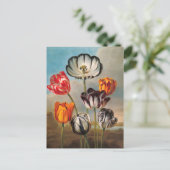 variabele Tulip Flowers in een landschap Briefkaart (Staand voorkant)