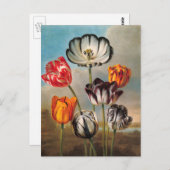 variabele Tulip Flowers in een landschap Briefkaart (Voorkant / Achterkant)