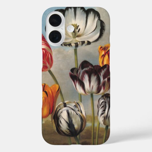  variabele Tulip Flowers in een landschap Case-Mate iPhone Case (Achterkant)