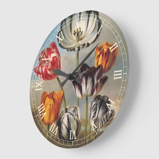  variabele Tulip Flowers in een landschap Grote Klok (Hoek)