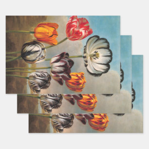  variabele Tulip Flowers in een landschap Inpakpapier Vel