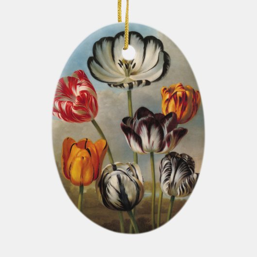  variabele Tulip Flowers in een landschap Keramisch Ornament (Achterkant)