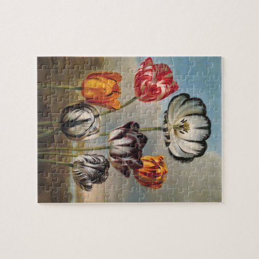 variabele Tulip Flowers in een landschap Legpuzzel (Horizontaal)