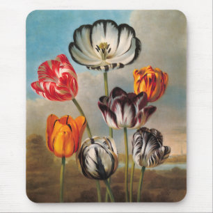 variabele Tulip Flowers in een landschap Muismat