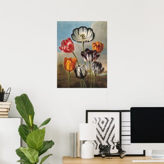 variabele Tulip Flowers in een landschap Poster (Thuiskantoor)
