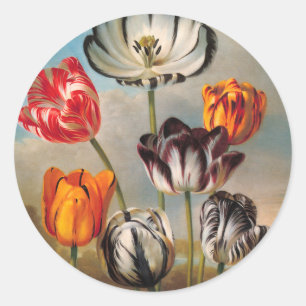  variabele Tulip Flowers in een landschap Ronde Sticker