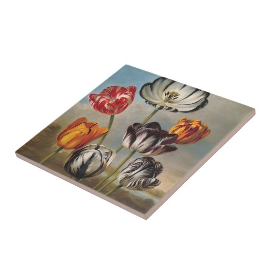variabele Tulip Flowers in een landschap Tegeltje (Zijkant)
