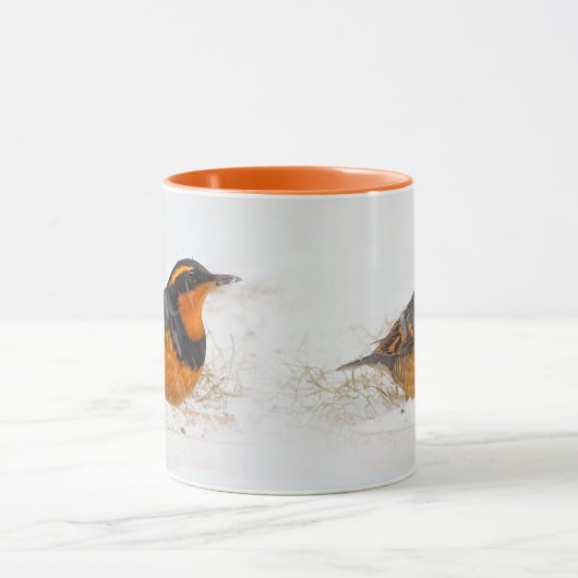 Variant Thrush Songbird op Snowy Winter Day Mok (Midden)