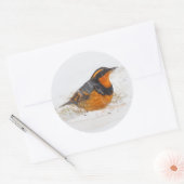 Variant Thrush Songbird op Snowy Winter Day Ronde Sticker (Envelop)
