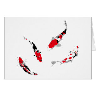 Varicgekleurde karpers