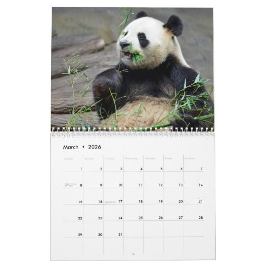 Varieerlijke reuzenpanda's en rode pandagalender kalender (Mar 2026)