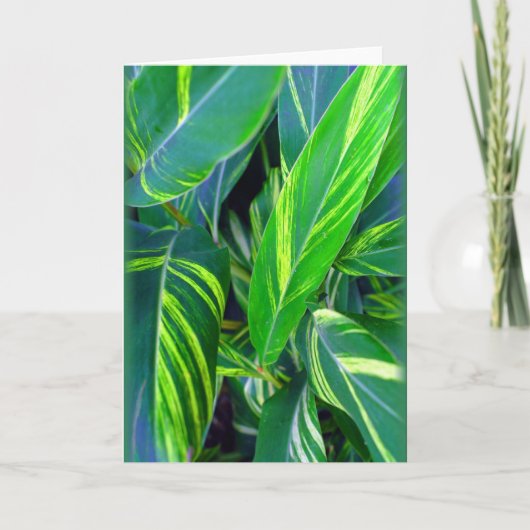 "Variegated Ginger" Kaart (Voorkant)