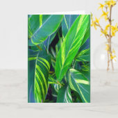 "Variegated Ginger" Kaart (Gele Bloem)