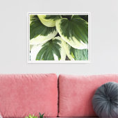 Variegated Hosta Plant Floral Canvas Afdruk (Insitu (Woonkamer))