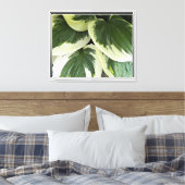 Variegated Hosta Plant Floral Canvas Afdruk (Insitu (Slaapkamer))