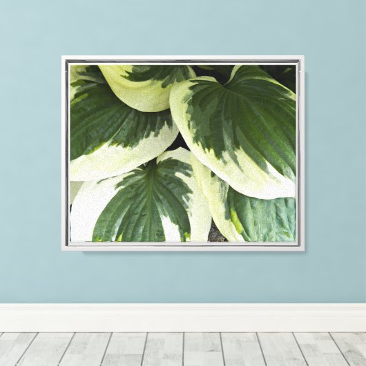 Variegated Hosta Plant Floral Canvas Afdruk (Insitu (Houten vloer))