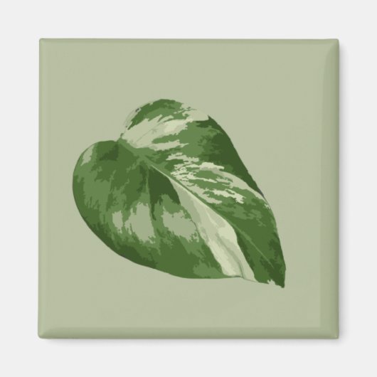 Variegated Monstera Albo Magnet (Voorkant)