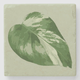 Variegated Monstera Leaf Coaster – Real Plant Art Stenen Onderzetter