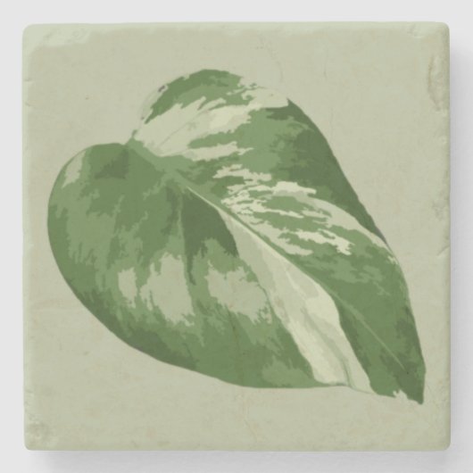 Variegated Monstera Leaf – Real Plant Art Stenen Onderzetter (Voorkant)